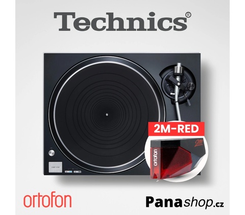 Technics SL-100CEG