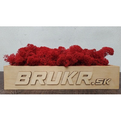 Stabilizovaný mach - Nórsky lišajník - červený ( Red ) 4kg