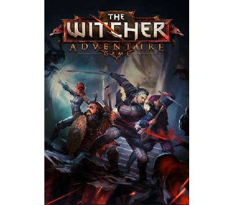 The Witcher Adventure Game