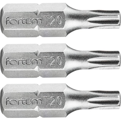 Fortum 3 ks T 20 × 25 mm 4741420