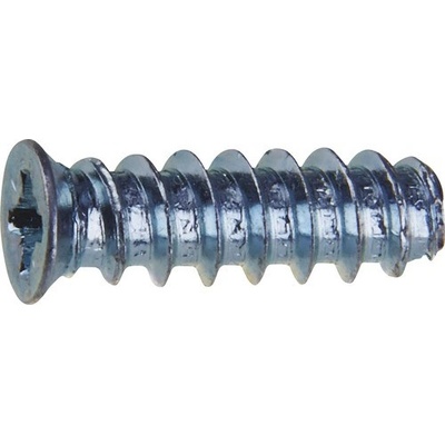 Eurovrut 6,0x10 PZ, zapustená hlava, zinok biely, 10ks