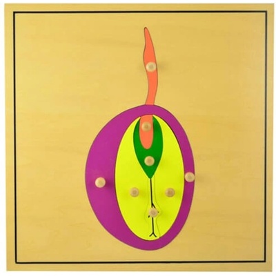 Smart Baby Монтесори ботанически пъзел Smart Baby - Семе (MO45-2)