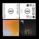 Projector - Geese LP
