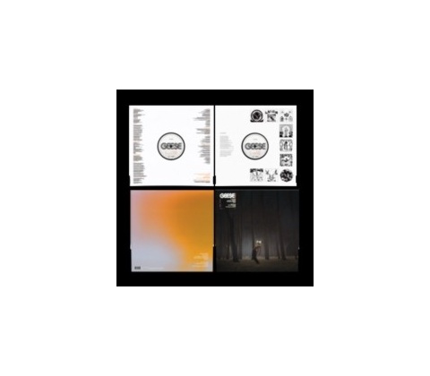 Projector - Geese LP