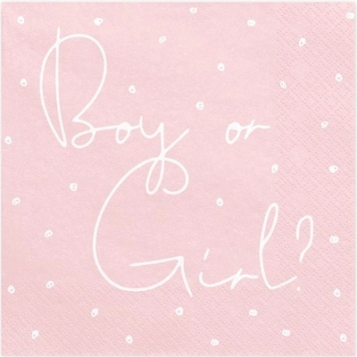 PartyDeco servítky Boy or Girl 33x33cm