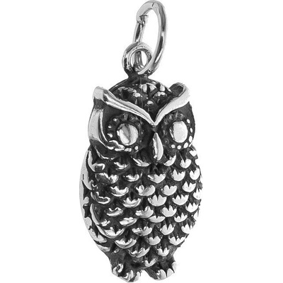 Argento Stříbrný přívěsek sova 85417