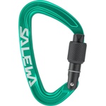 Salewa Винтов карабинер Salewa Ortles Screw Carabiner Screwgate carabiner - Irish Green - размер One Size (322-0241-0211)