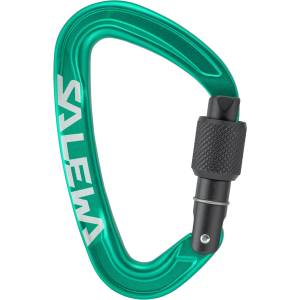 Salewa Винтов карабинер Salewa Ortles Screw Carabiner Screwgate carabiner - Irish Green - размер One Size (322-0241-0211)