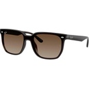 Ray-Ban RB4466D 714/13