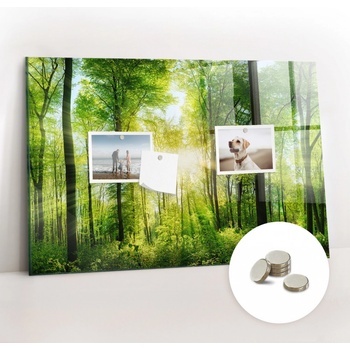 tulup Magnetická Tabule na Zeď Skleněná - Memo Board Kleněnou Přední Stranou - 5 magnetů v balení - 60 x 40 cm - Příroda lesní stromy