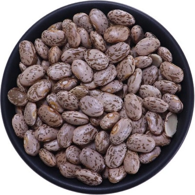 Profikoření Fazole barevná Pinto 5 Kg