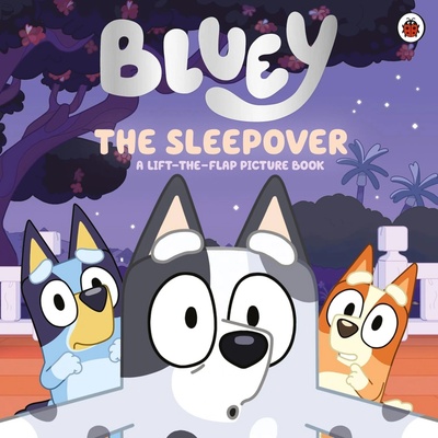 Bluey: The SleepoverBluey