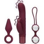 LOVELINE (S)explore Toy Kit for Her Dark Cherry (P26712)