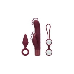 LOVELINE (S)explore Toy Kit for Her Dark Cherry (P26712)
