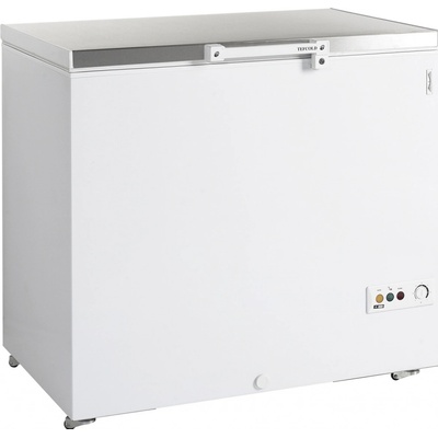 Tefcold FR 305 S SL
