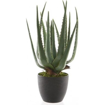 Umělá aloe vera, v květináči, zelená, výška 40 cm