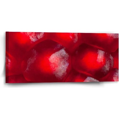 Sablio Obraz Granátové jablko - 110x50 cm
