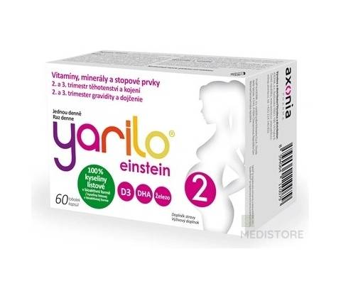 Yarilo Einstein 2 60 tobolek