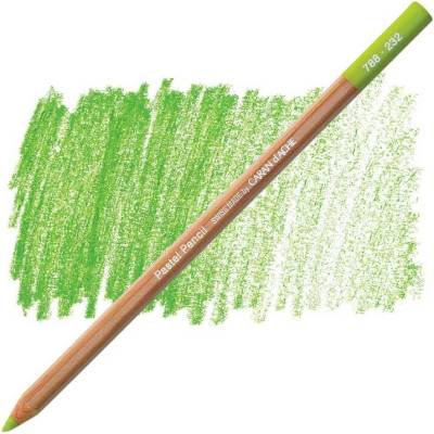Caran d´Ache suchý pastel v tužce 232 middle moss green