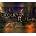 Dwarven Realms