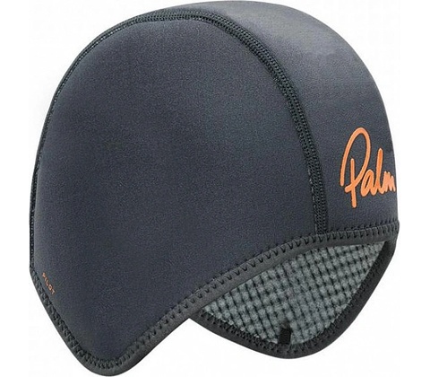Palm Pilot