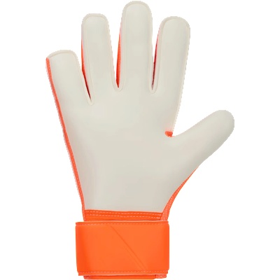 Nike Match Goalkeeper Gloves