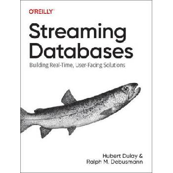 Image 1 of Streaming Databases | Ralph Matthias Debusmann