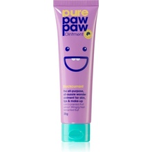 Pure Paw Paw Blackcurrant balzám na rty a suchá místa 25 g