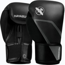 Hayabusa E1