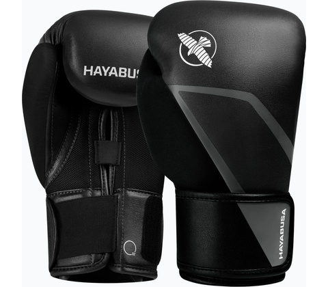 Hayabusa E1