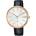 Lorus RN420AX8