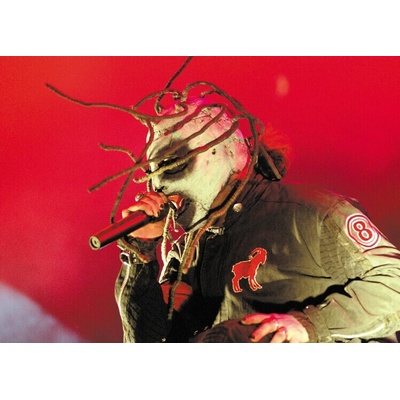 Peter Pakvis Plagát, Obraz - Photo of SLIPKNOT, 40 × 30 cm