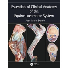 Essentials of Clinical Anatomy of the Equine Locomotor System