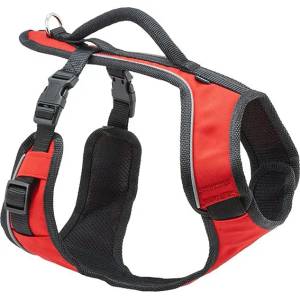 PetSafe Нашийник за куче EasySport „S, червен