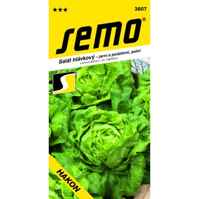 ŠALÁT HLÁVKOVÝ jarný a jesenný Hakon