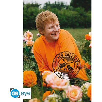 ED SHEERAN - Poster Maxi 91.5x61 - Rose Field, GBYDCO396