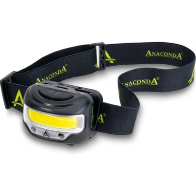 Saenger Anaconda Flood