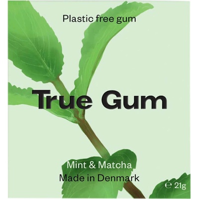 True gum máta 21 g – Zboží Dáma