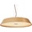 Max-light P0550