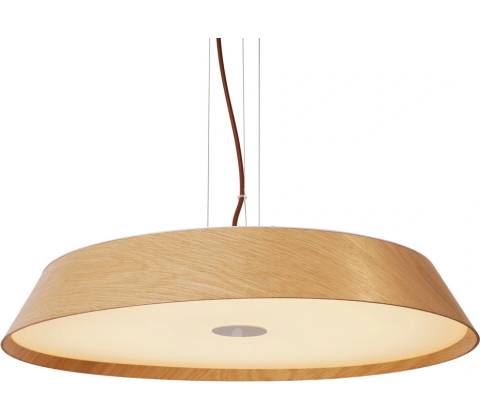 Max-light P0550