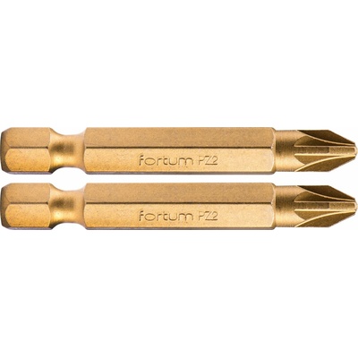Fortum PZ2x50 mm 2 ks 4741382