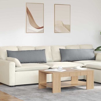 vidaXL Диван възглавници 2 pcs Светлосиво 120 x 40 cm текстил (42013782)