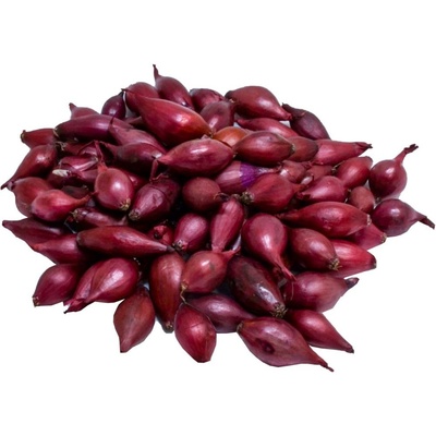 Cibule sazečka - Karmen 8/14, 25 kg