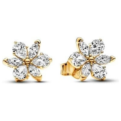 PANDORA Náušnice Shine Třpytivý herbářový shluk 262633C01