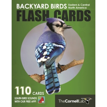 Princeton univ pr Backyard Birds Flash Cards - Eastern & Central North America