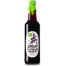 Koldokol Sirup Černý ribíz 0,5 l