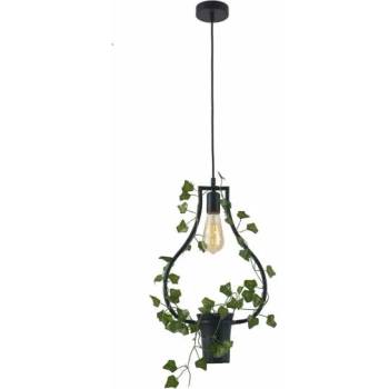 Image 1 of Polux SOREN C 313874