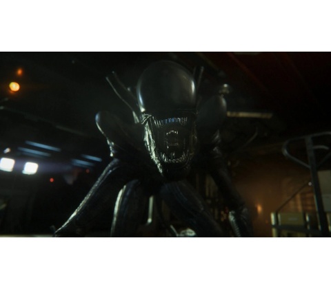 Alien: Isolation - Last Survivor + Crew Expendable