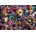 Bluebird Puzzle - Puzzle Alice in Graffitiland - 1 000 piese