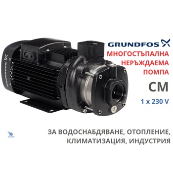 Grundfos CM10-2 A-R-A-E-AQQE 1x230V (92889694)